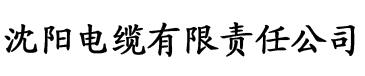 LU先生直播视频电缆厂logo